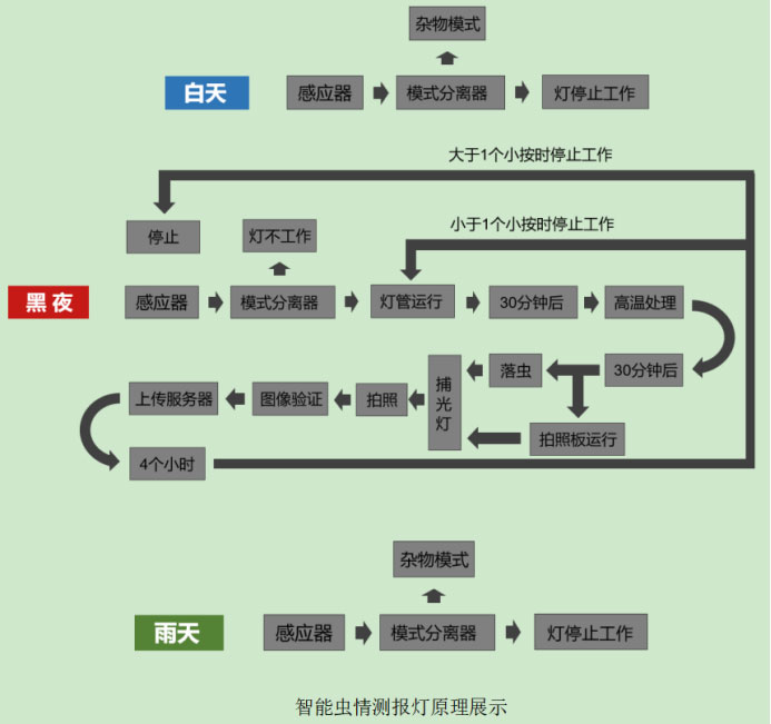 蟲情測報燈